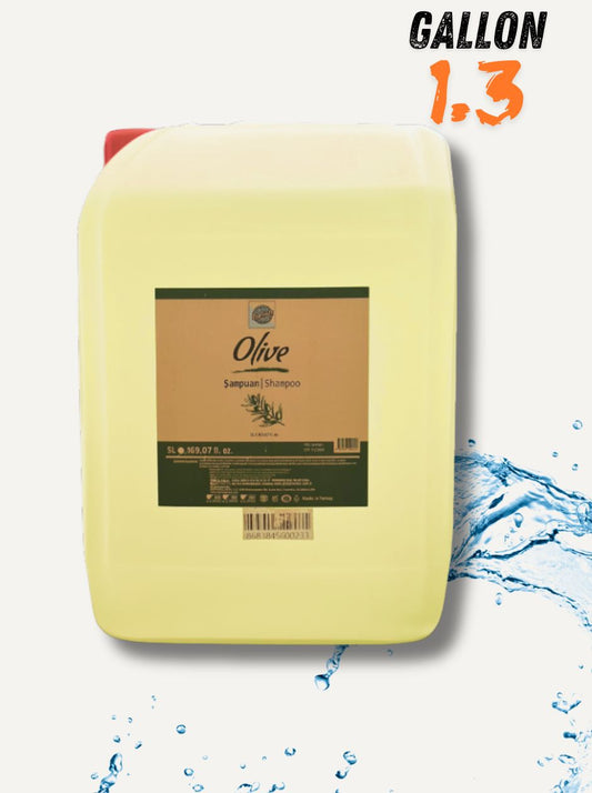 Roomsium Olive Shampoo | 1.3-Gallon Bulk Hair Care for Salons, Hotels & Homes