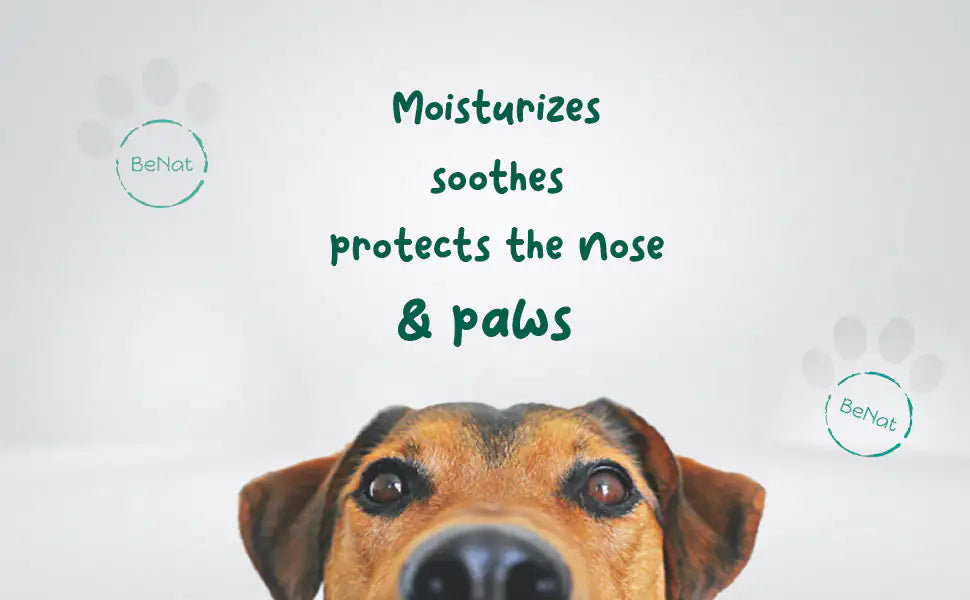 Natural Dog Paw & Nose Balm – Moisturizing, Soothing & Protective (0.9 oz)