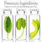 Roomsium Olive 75-Piece Toiletries Set | Travel Size Guest Amenities