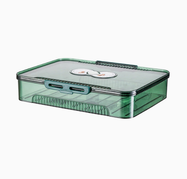 Transparent Dumpling Storage Box with Lid – Stackable Plastic Food Organizer (1pc)