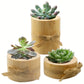3-Piece Wooden Decorative Holder Set – Rustic Candle Holder or Planter Display