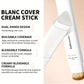 Color-Adapting Foundation Stick – Matte Coverage with Dual Brush