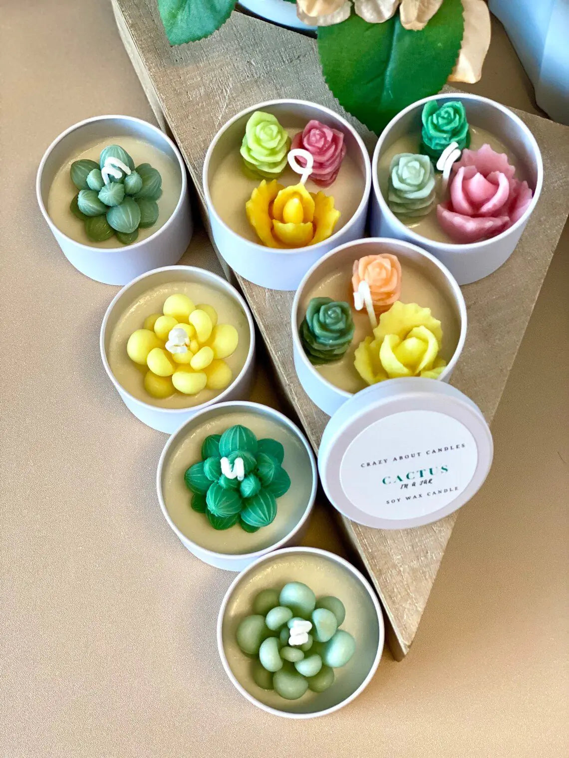 Handmade Cactus-in-a-Jar Soy Candle – Scented Gift Tin for Home & Favors - Roomsium
