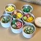 Handmade Cactus-in-a-Jar Soy Candle – Scented Gift Tin for Home & Favors - Roomsium