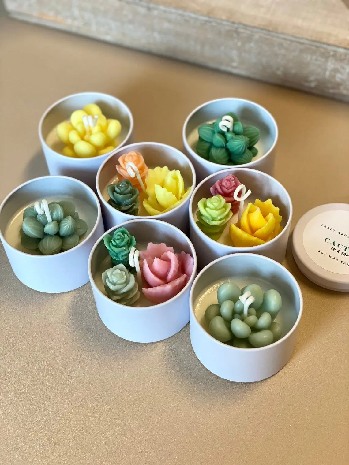 Handmade Cactus-in-a-Jar Soy Candle – Scented Gift Tin for Home & Favors - Roomsium