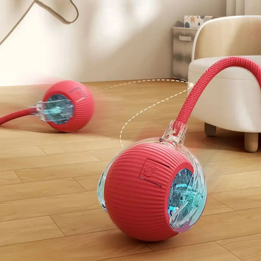 Interactive Rolling Ball Cat Toy – Rechargeable Smart Pet Toy with Faux Tail