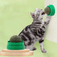 Catnip Wall Stick-On Ball Toy – Natural Cat Grass Lickable Treat Toy