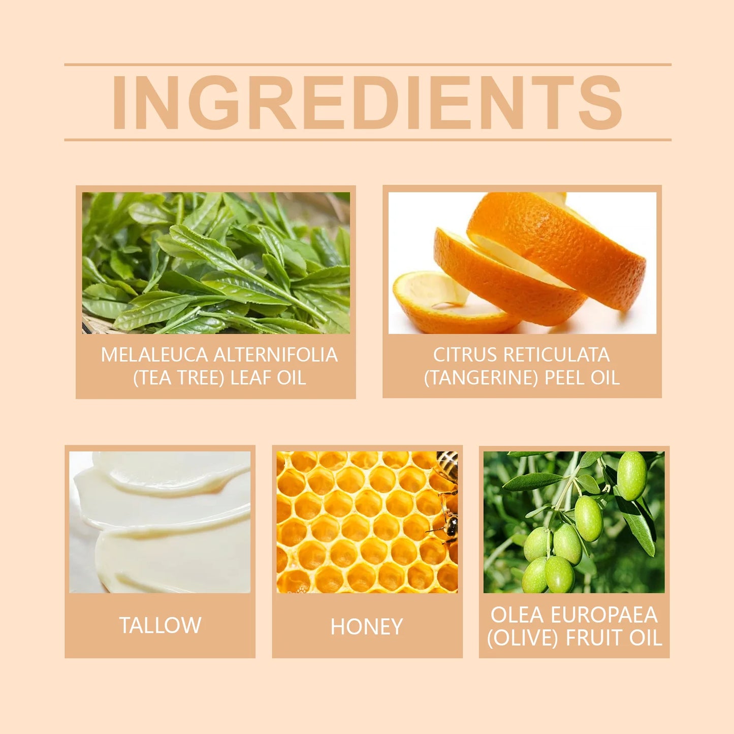 Tallow Honey Cream – Hydrating Face & Body Moisturizer