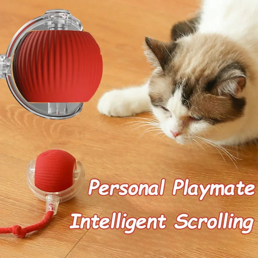 Interactive Rolling Ball Cat Toy – Rechargeable Smart Pet Toy with Faux Tail
