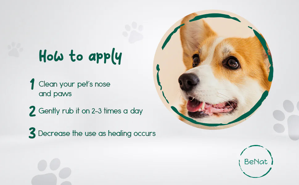 Natural Dog Paw & Nose Balm – Moisturizing, Soothing & Protective (0.9 oz)