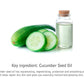 Organic nutritive body elixir melon and cucumber