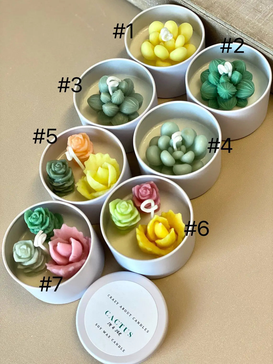 Handmade Cactus-in-a-Jar Soy Candle – Scented Gift Tin for Home & Favors - Roomsium